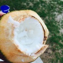 Cozumel 2015 (361058)