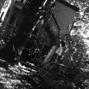 Broadmoor Spider (360517)