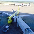 Cozumel 2015 (360894)