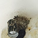 Random iPhone Shots (361236)