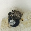 Random iPhone Shots (360921)