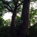 Krause Springs (360920)