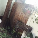 Random iPhone Shots (361038)