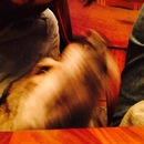 Abel and Mike's (360624)