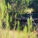 Random iPhone Shots (361402)