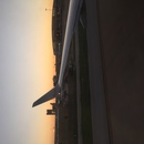 Cozumel 2015 (361372)