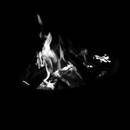 Random iPhone Shots (361124)