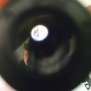 New Microscope Shots (361281)