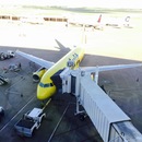 Cozumel 2015 (361251)