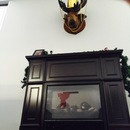 Random Office Shots (360790)