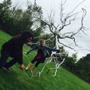 Art Prize 7 (361029)