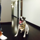 Random Office Shots (361335)