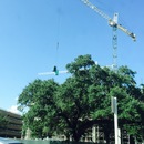 Random iPhone Shots (361241)