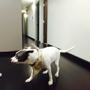 Random Office Shots (361073)