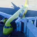 Cozumel 2015 (361180)