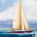 The Jaws Van (361427)