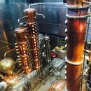 Art Prize 7 (360789)