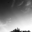 Random iPhone Shots (361359)