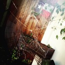 Random iPhone Shots (361396)