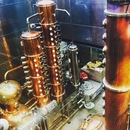 Art Prize 7 (360897)