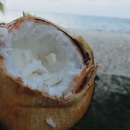 Cozumel 2015 (360500)