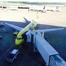 Cozumel 2015 (360546)