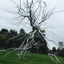 Art Prize 7 (360527)