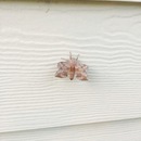 Random iPhone Shots (361456)