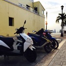 Cozumel 2015 (360995)