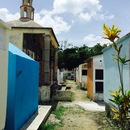 Cozumel 2015 (360699)