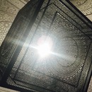 Art Prize 7 (360597)