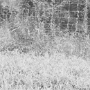 Bresette Party (361080)