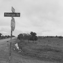 Bresette Party (360965)