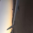 Cozumel 2015 (360960)