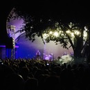 First Aid Kit at Stubbs (361018)