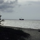 Cozumel 2015 (360608)