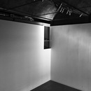 Random iPhone Shots (361345)