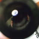 New Microscope Shots (360484)