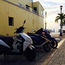 Cozumel 2015 (361193)