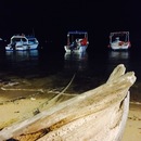 Cozumel 2015 (360831)