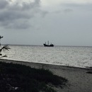 Cozumel 2015 (361477)