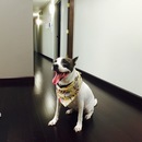 Random Office Shots (361437)