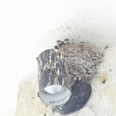 Random iPhone Shots (361462)