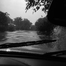 2015 Floods (361679)