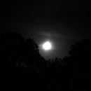 Random iPhone Shots (361509)