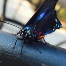 Ronald McDonald House (361669)