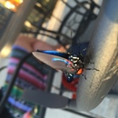 Ronald McDonald House (361647)