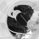 Broadmoor Spider (361521)