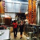 Art Prize 7 (361549)