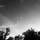 Random iPhone Shots (361518)